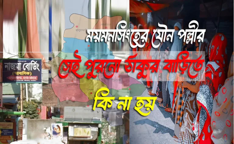 ময়মনসিংহের যৌন পল্লী
