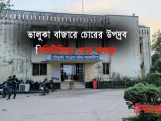ভালুকা বাজার