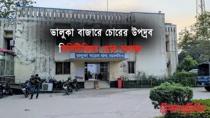 ভালুকা বাজার