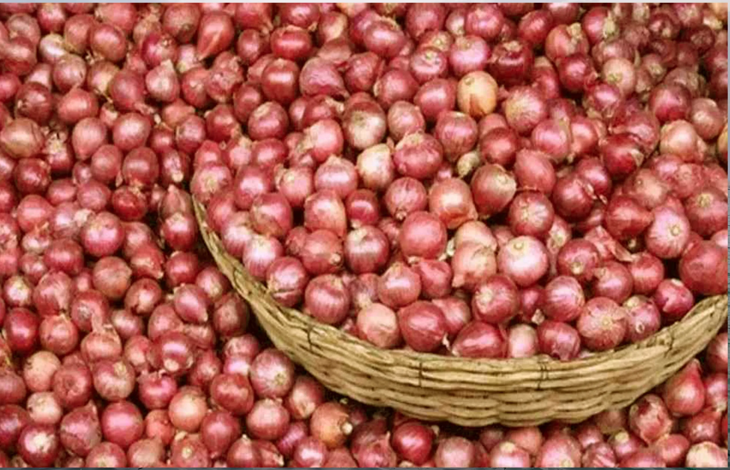 Basket of red onions on display