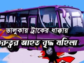 ঢাকা- ময়মনসিংহ হাইওয়ে