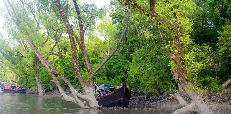 বন্যপ্রাণী অভয়ারণ্য টেংরাগিরি ইকোপার্ক