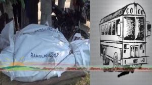 বাসের ধাক্কায় প্রাণ গেল দুই ভাইয়ের