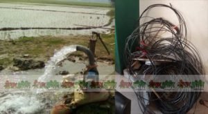 ত্রিশালে পিডিবির অভিযানে ৫ লক্ষ টাকা জরিমানা আদায়