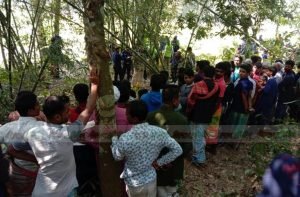 ভালুকায় নারীর গলাকাটা লাশ উদ্ধার