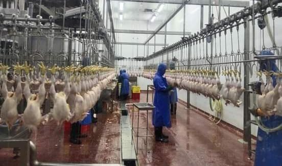 পশু জবাই ও মাংসের মান নিয়ন্ত্রন আইন ও পশু খাদ্য আইন/২০১০