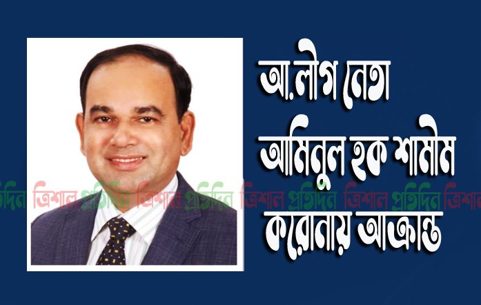 আ.লীগ নেতা আমিনুল হক শামীম
