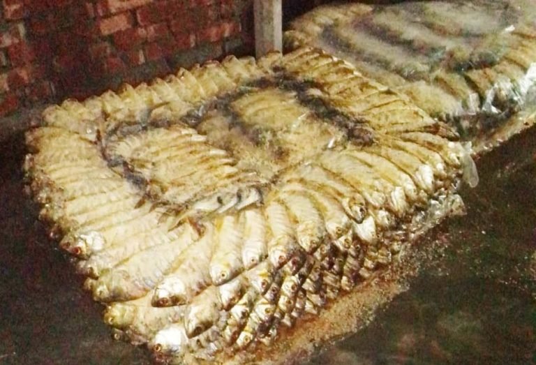 ত্রিশালে আবাসিক এলাকায় মাছ প্রসেসিং, দুর্গন্ধে অতিষ্ট এলাকাবাসী