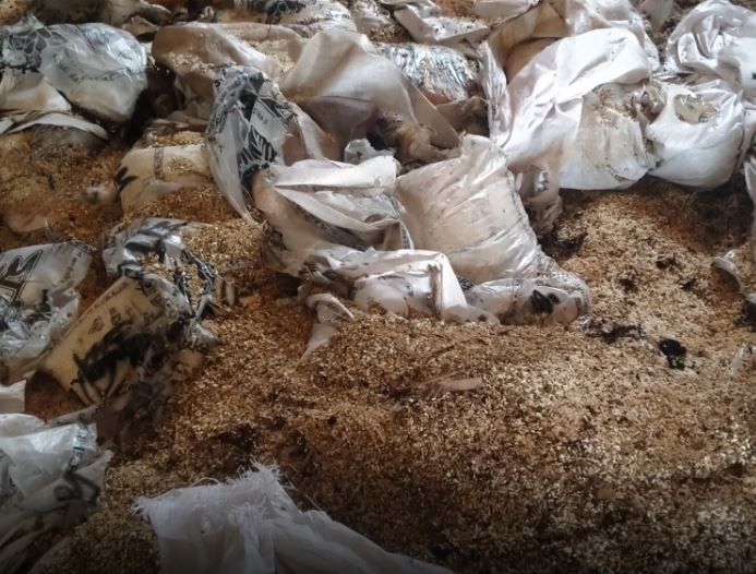 ত্রিশালে আবারো মুড়ির গোডাউনে অগ্নিকান্ড,ব্যাপক ক্ষয়ক্ষতি