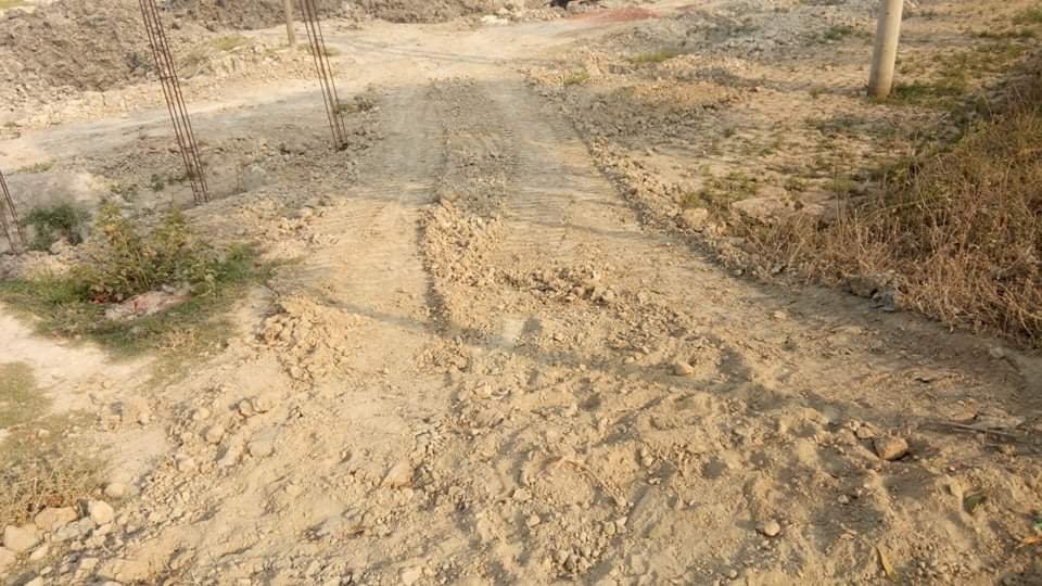 received_2115995448540599