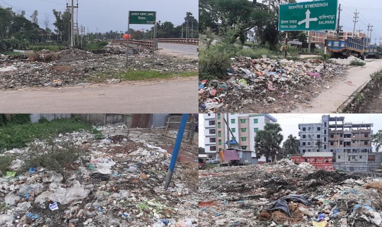 ত্রিশালে নিষিদ্ধ ঘোষিত পলিথিনে সয়লাব