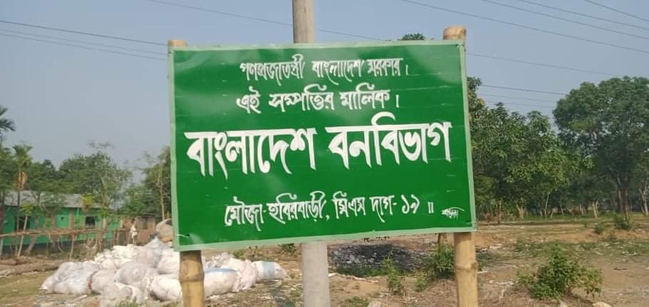 received_1667050516829257