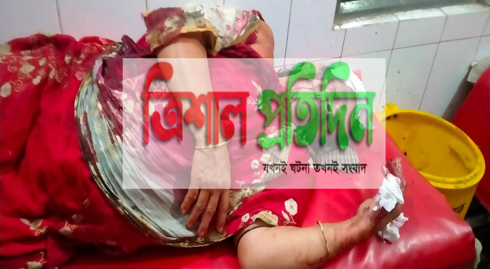 ত্রিশালের সাখুয়ায় জমি সংক্রান্ত বিরোধে বসতঘরে হামলা, এক নারী আহত