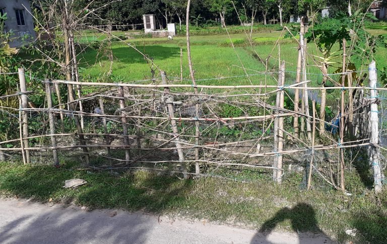 Trishal Pic 10.08.22