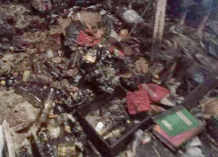 Trishal Pic 13.08.22