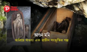 গুহার গভীরে: ফিলিপাইনের রহস্যময় ‘আগুন মমি’