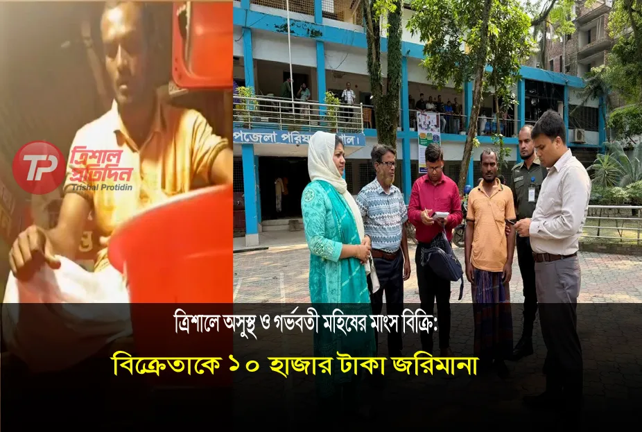 ত্রিশালে অসুস্থ ও গর্ভবতী মহিষের মাংস বিক্রি