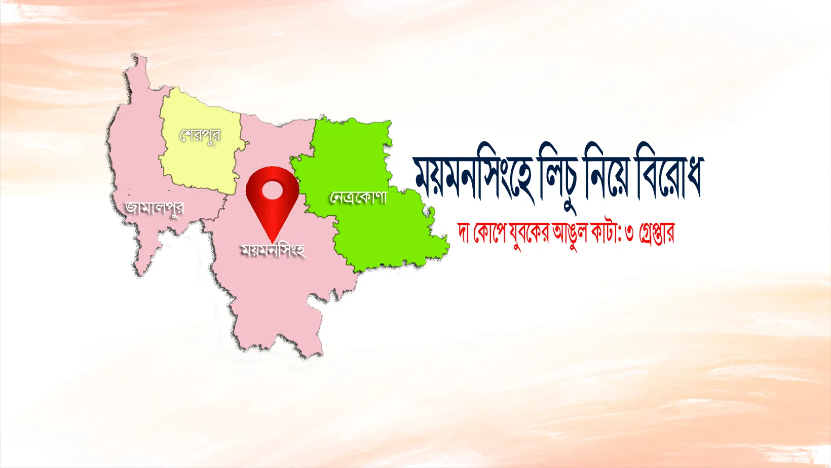ময়মনসিংহে লিচু নিয়ে বিরোধ, দা কোপে যুবকের আঙুল কাটা: ৩ গ্রেপ্তার