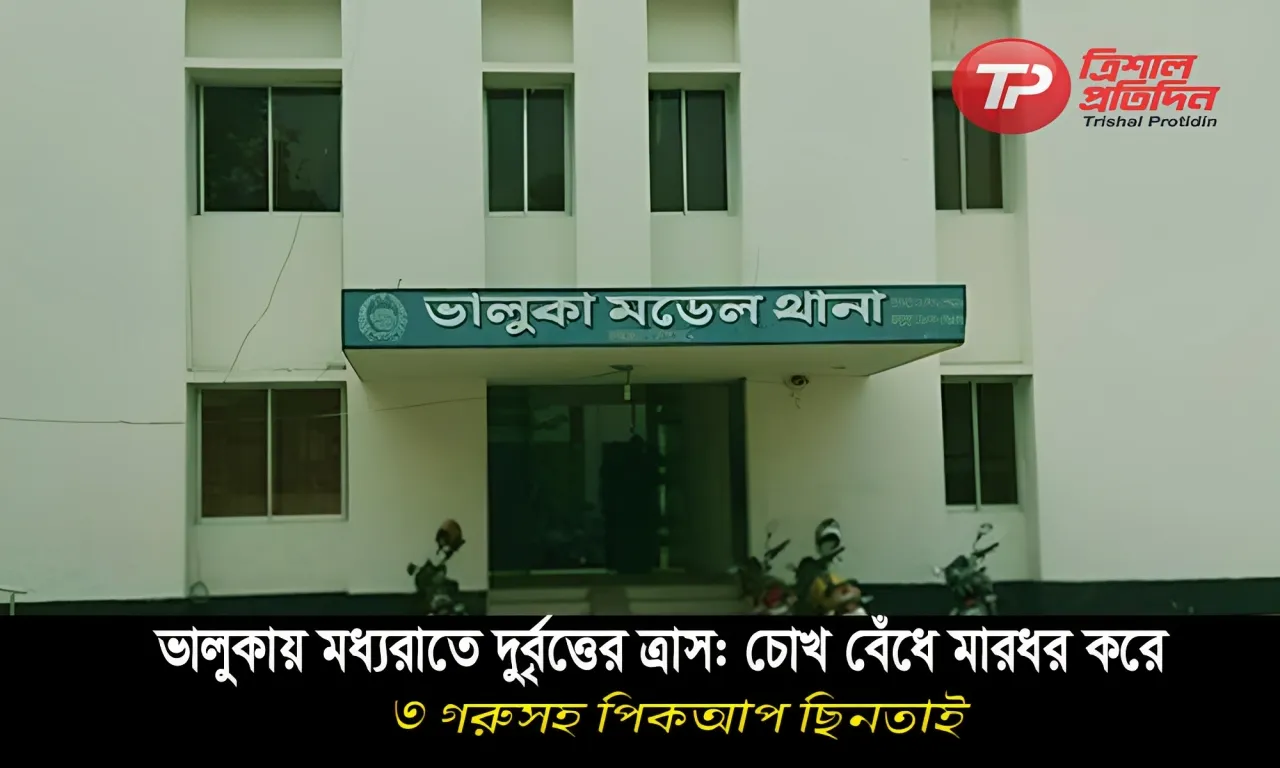 ভালুকায় মধ্যরাতে দুর্বৃত্তের ত্রাস: