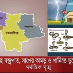 ময়মনসিংহে বজ্রপাত, সাপের কামড় ও পানিতে ডুবে ৬ জনের মর্মান্তিক মৃত্যু