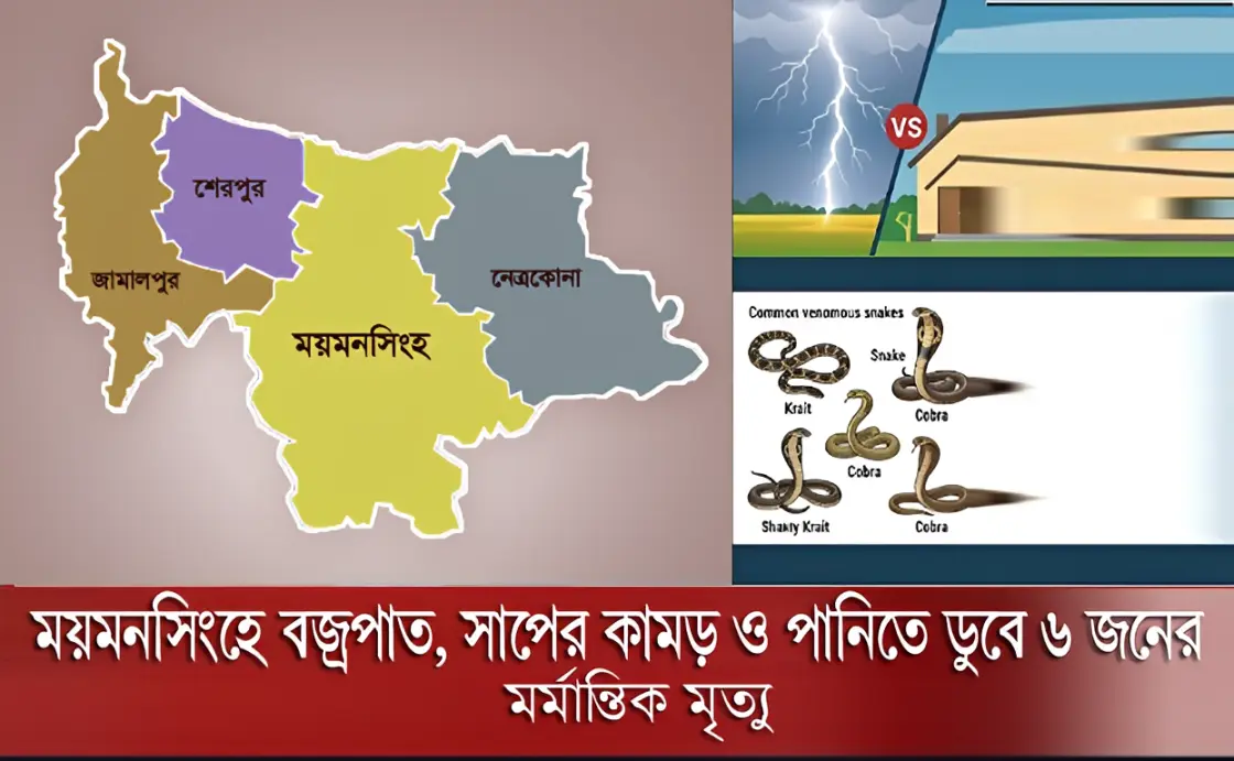 ময়মনসিংহে বজ্রপাত, সাপের কামড় ও পানিতে ডুবে ৬ জনের মর্মান্তিক মৃত্যু
