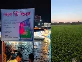নজরুল সিটি শিশু পার্ক