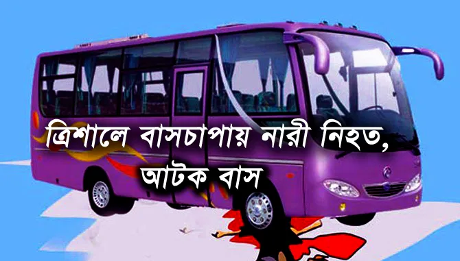 TP ACCSIDANT.png বাসচাপা