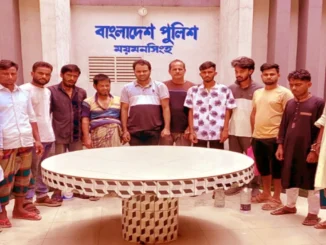 ঝটিকা মিছিল