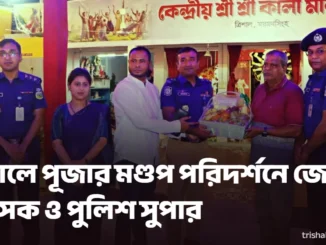 দুর্গাপূজার